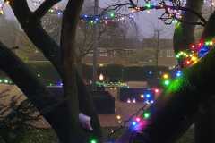 garden-carols-4