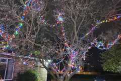 garden-lights-3